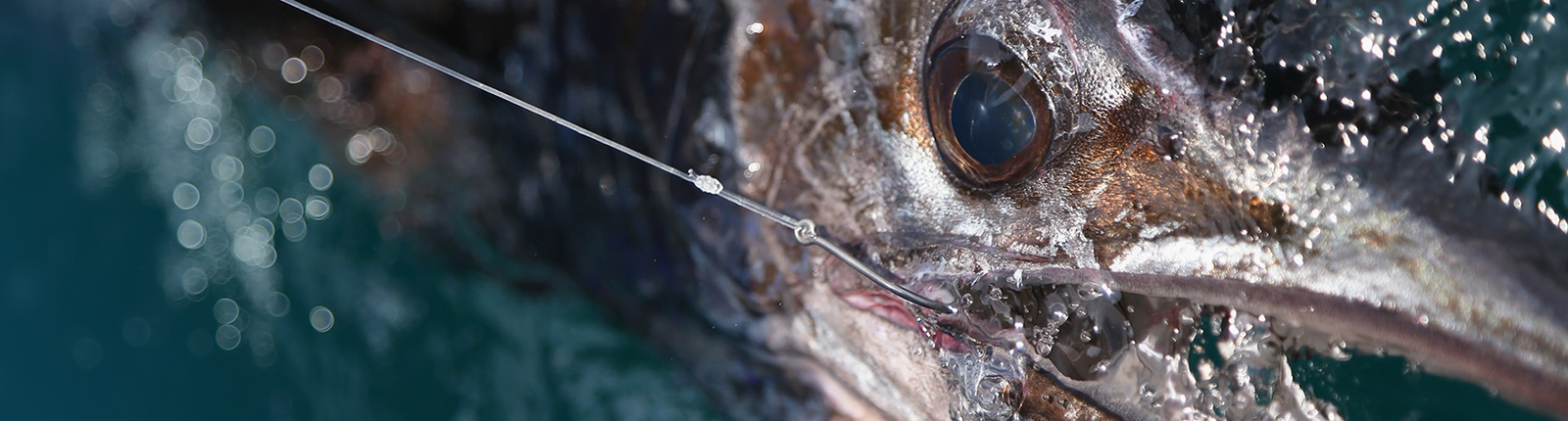 Saltwater Baitfishing